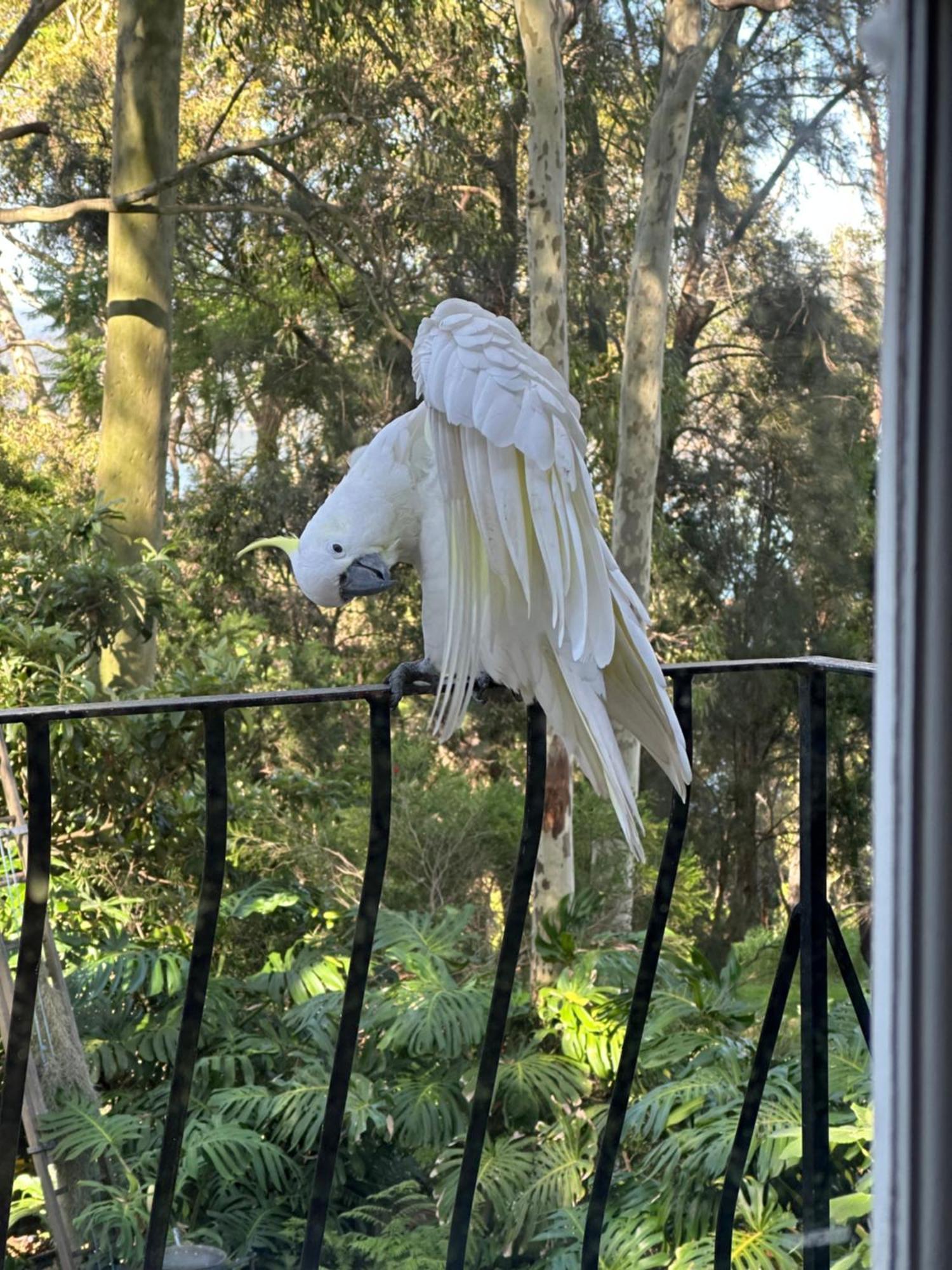 Palm Beach Bed & Breakfast Extérieur photo