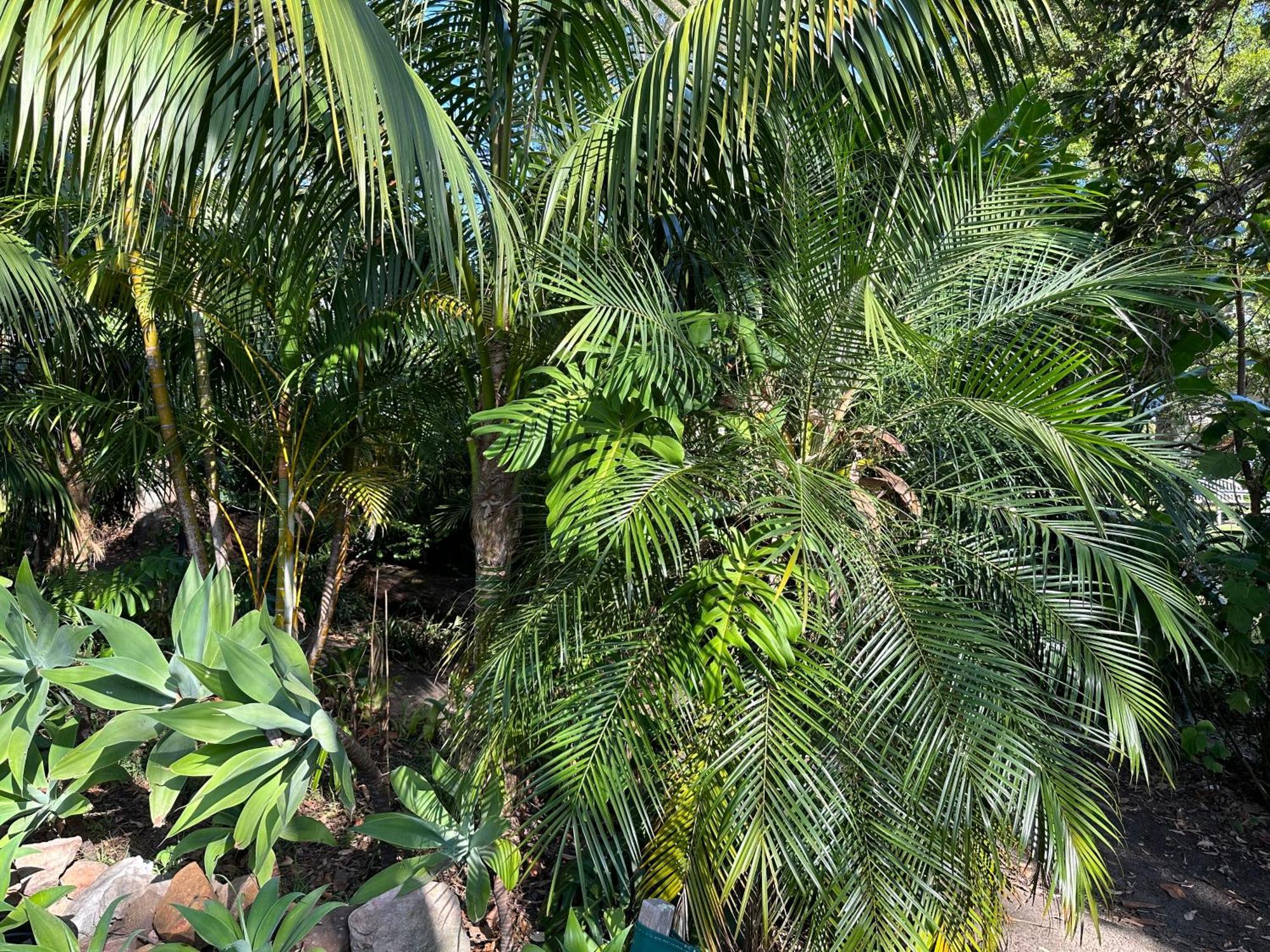 Palm Beach Bed & Breakfast Extérieur photo